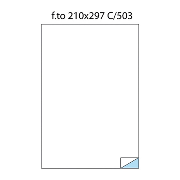 Etichete 1/A4 210x297 100/cutie