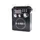 Radio Portabil, AM/FW/SW, 3 Benzi, Control Volum, USB, AUX, MP3, 220v/50 mhz, Antena Telescopica, Accesorii Incluse, Lanterna, Negru