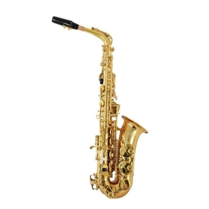 Set Saxofon Alto Parrot Auriu