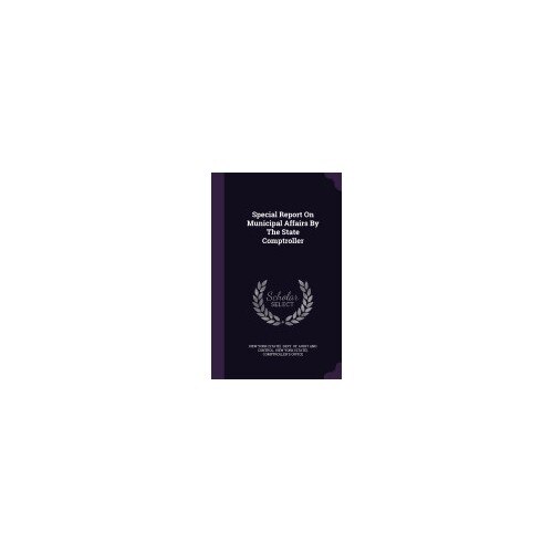 Special Report on Municipal Affairs by the State Comptroller