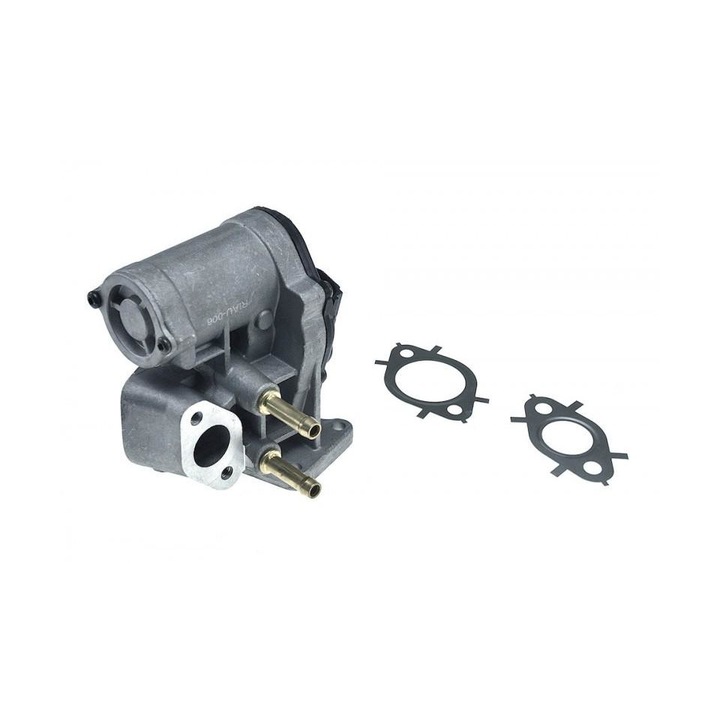 Egr Volkswagen Golf 5 2003-2009 1K1 222001