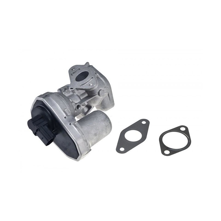 Egr Peugeot Boxer 2006-> 222471