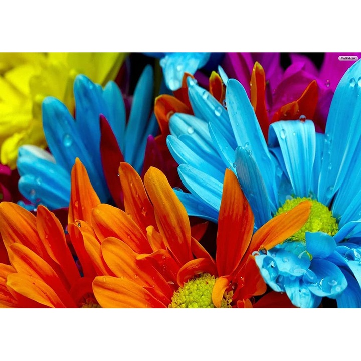 Kit pictura cu diamante 5D, Model floare, 30x40 cm, Multicolor