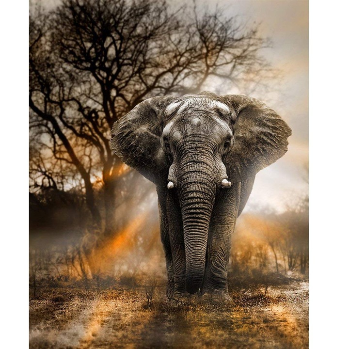 Set de artizanat cu diamante, Model elefant, +14 ani, 30x40 cm, Gri/Maro