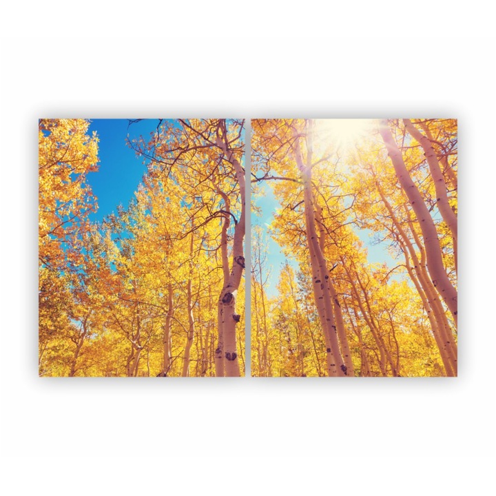 2 db Multicanvas festmény készlet, ősz 65, UV nyomat elülső megvilágítású PVC vászonra és fa keretre feszítve, 160x100 cm