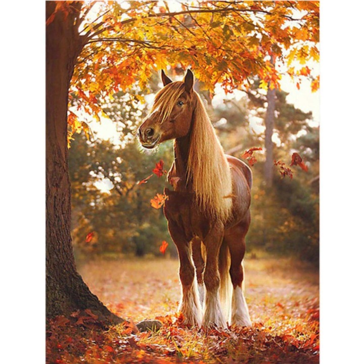 Kit pictura cu diamante 5D, Model Cal, 30 x 40cm, Multicolor