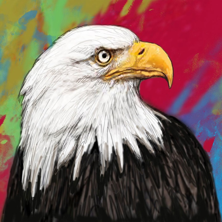 Kit Pictura cu Diamante 5D, Kit Broderie cu Diamante DIY Set de Artizanat, Reofrey Diamond Painting, Model - Vultur, 30x40 cm, Multicolor