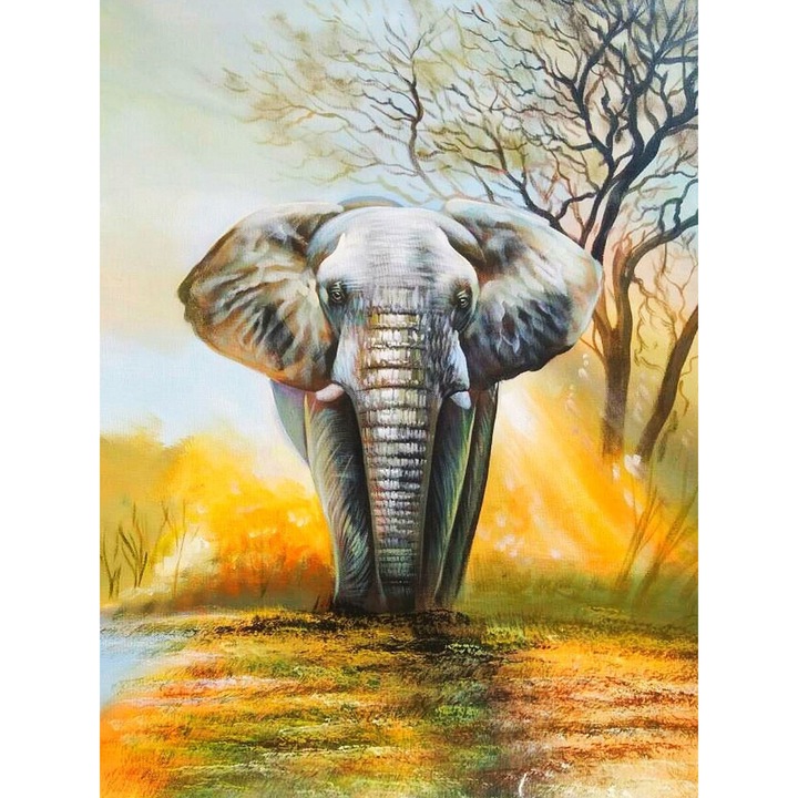 Kit broderie cu diamante 5D, Model - Elefant, 30x40 cm, Multicolor