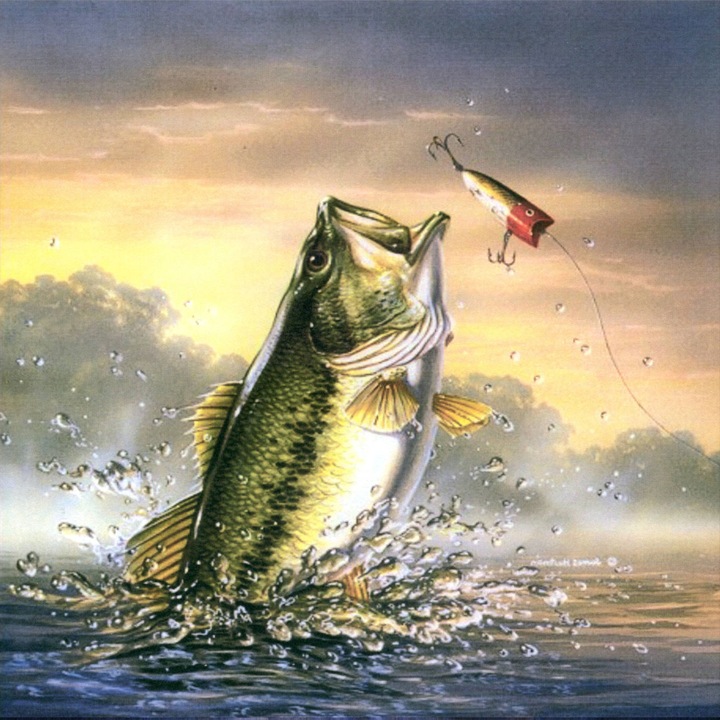 Kit pictura cu diamante 5D, Model Peste, 30 x 40cm, Multicolor