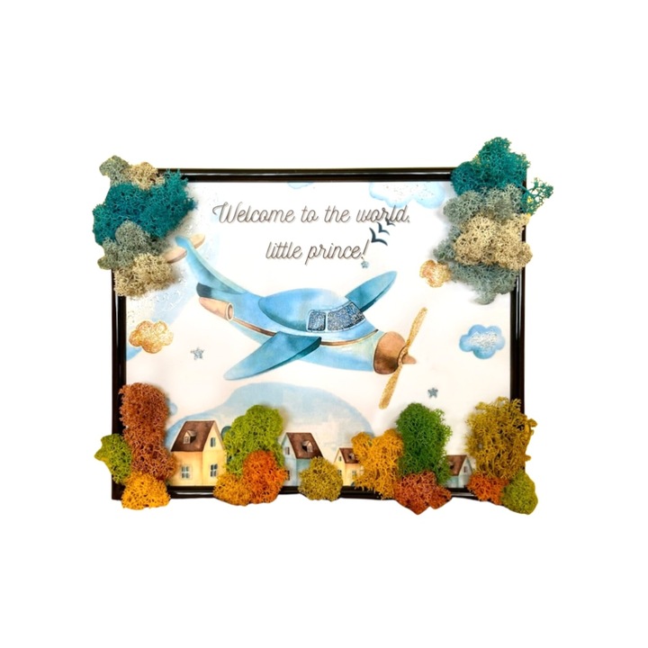 Tablou cu licheni stabilizati, dimensiune 20x25cm, rama neagra, model avion, mesaj pentru nou-nascut