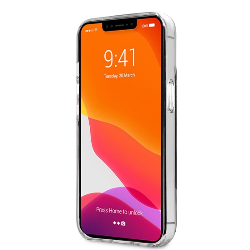 HD Apple iPhone 13 Pro Back View PNG