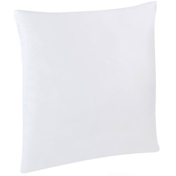 Perna alba, 45 x 45 cm