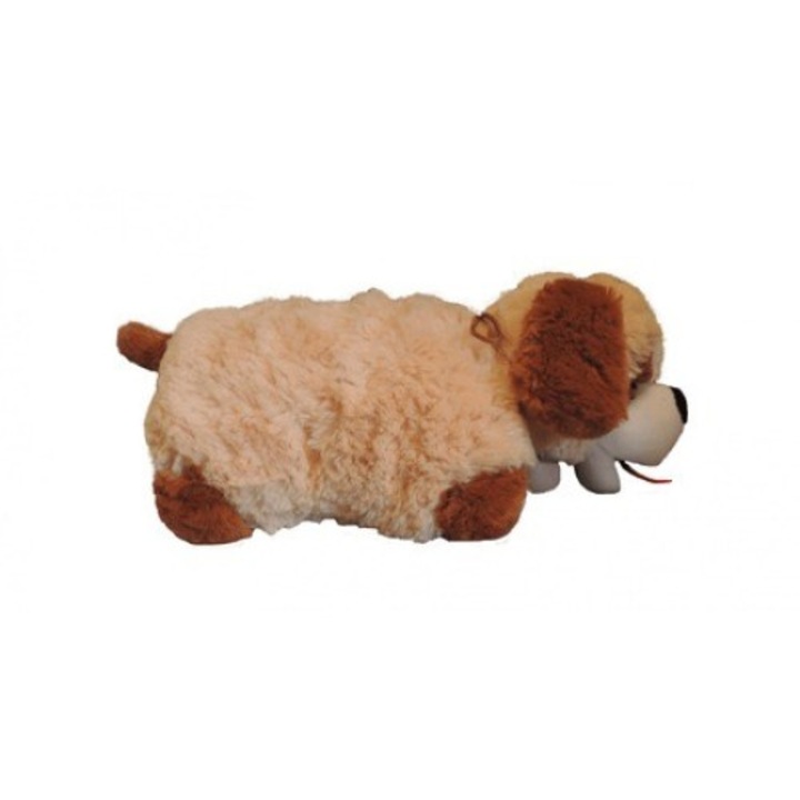 Catel de plus Sun Day, caine salvator, mare