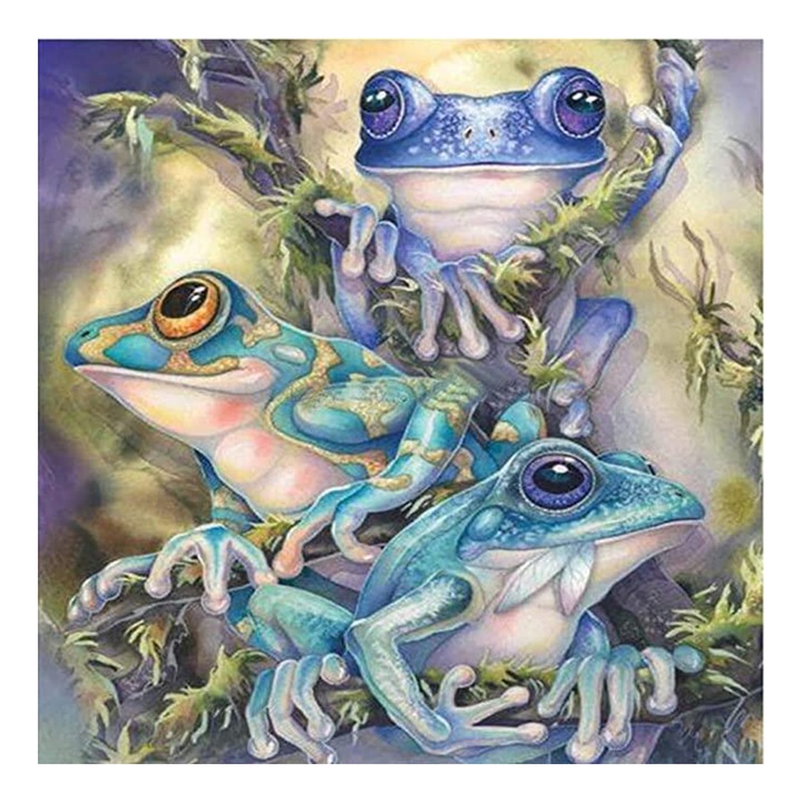 Set broderie cu diamante GIEAAO 5D, Model Broasca, 35x35 cm, Multicolor