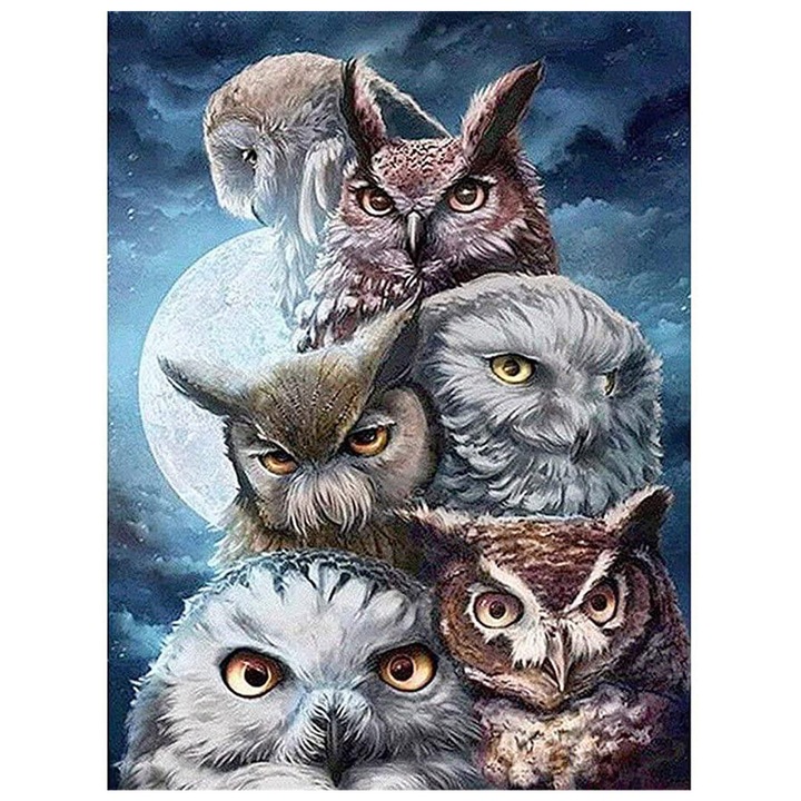 Set broderie cu diamante GIEAAO 5D, Model Bufnita, 30x40 cm, Multicolor