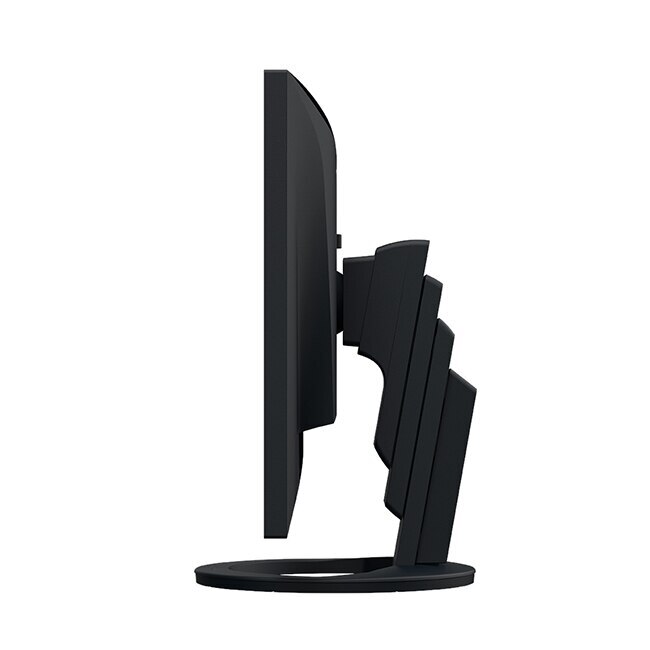 Monitor IPS LED Eizo 24.1
