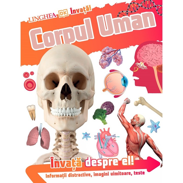 Invata! Corpul Uman
