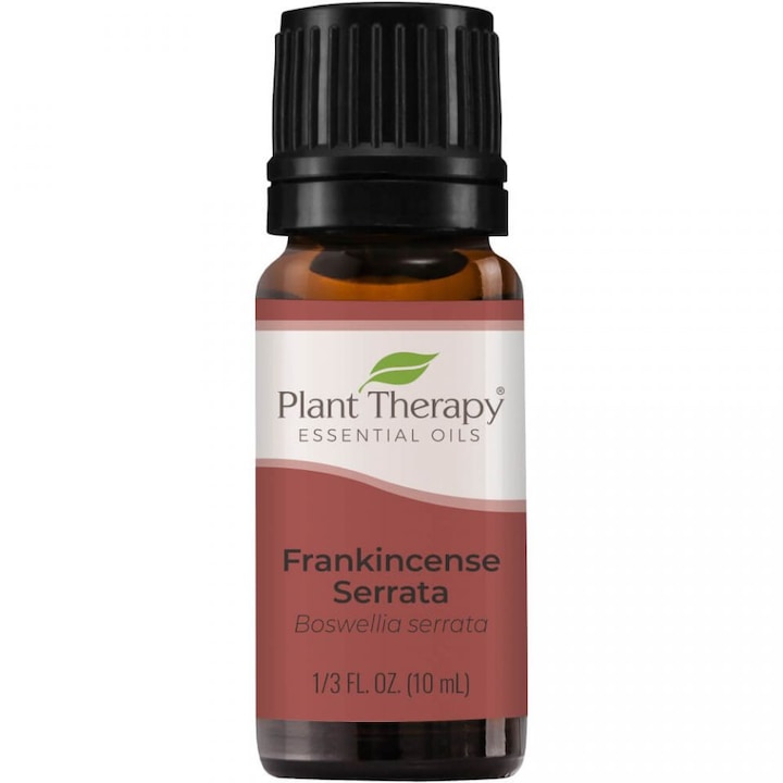 Eтерично масло Plant Therapy Тамян Серата Frankincense Serrata,10мл