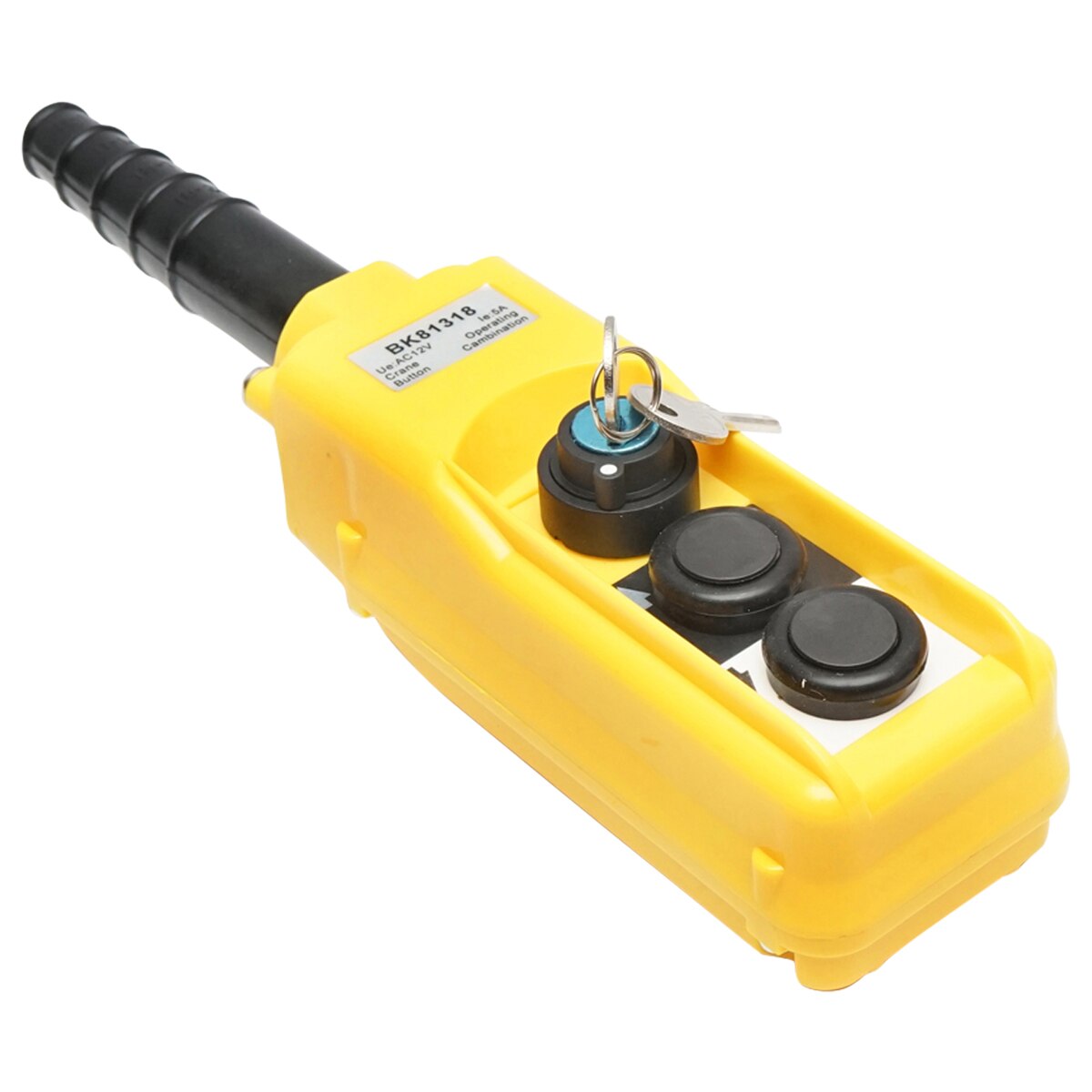 Telecomanda industriala cu 2 comenzi si contact general cu cheie 12V ...