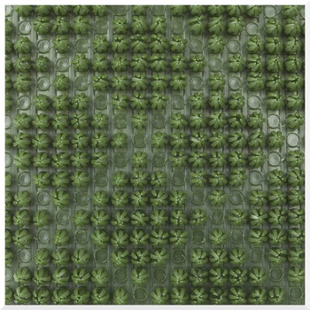 Covoras Intrare Finnturf CT-120201 Verde 91x40 cm Covoras Intrare Finnturf CT-120201 Verde 91x40 cm