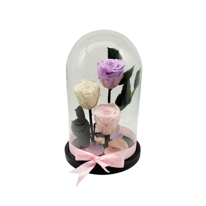 Cupola XL cu 3 trandafiri criogenati mov-alb,28x18 cm