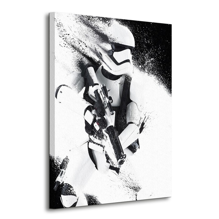Pictura pe panza Star Wars Episode VII Stormtrooper Paint 60x80 cm WDC99327