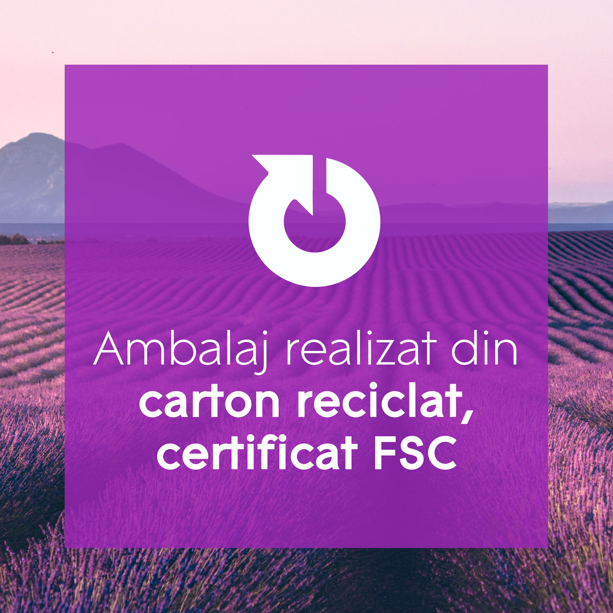 Betisoare Parfumate Glade Aromatherapy Moment of Zen, 80ml eMAG.ro