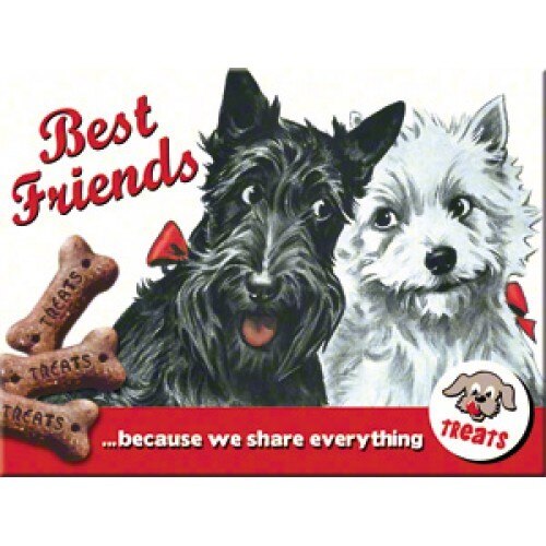 Magnet frigider - Best friends