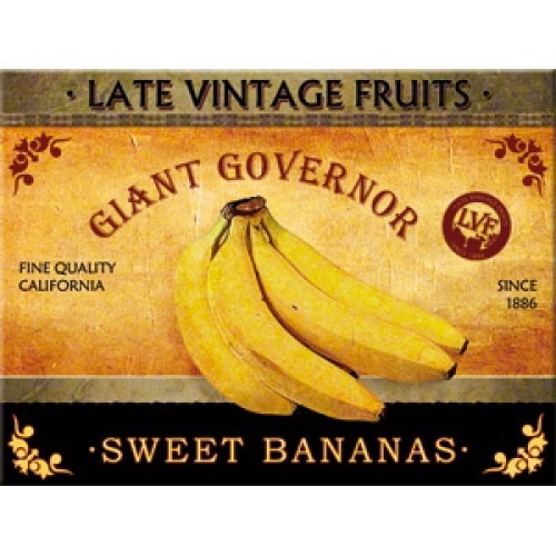 Magnet frigider - Vintage Fruits