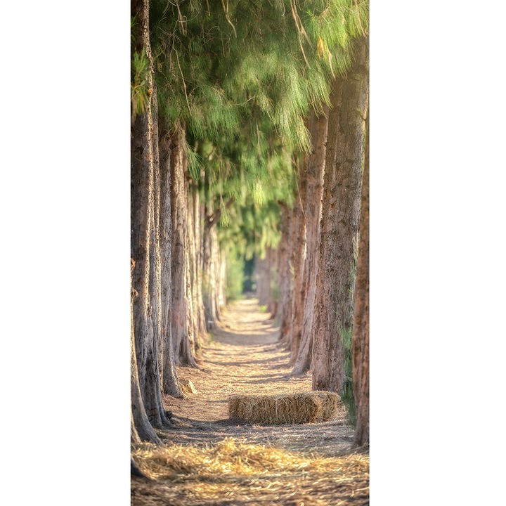 Tapet autoadeziv Padurea cu pini, Orafol, Multicolor, 1340mm x 2800mm