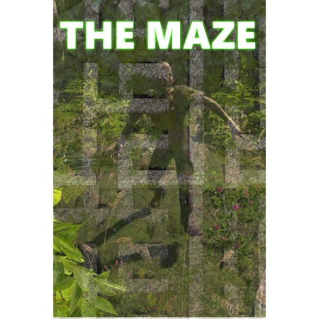 Joc PC The Maze, cod de activare Steam - eMAG.ro