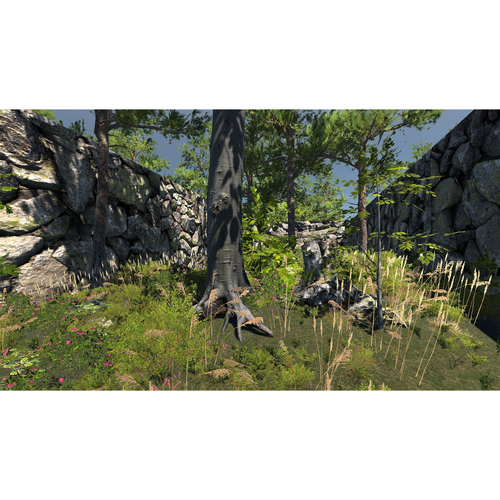 Cod Maze Joc PC The Maze, cod de activare Steam - eMAG.ro