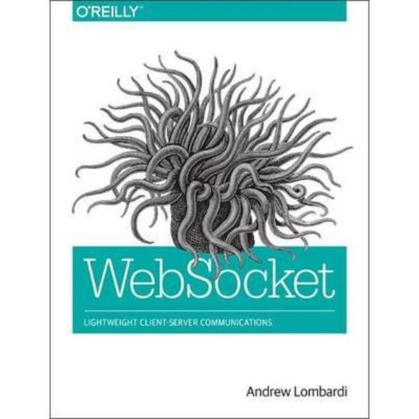 WebSocket