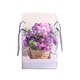 Product option