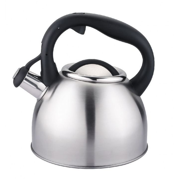 Чайник Carl Schmidt Sohn-Bonn, неръждаема стомана, 2 л, сребрист