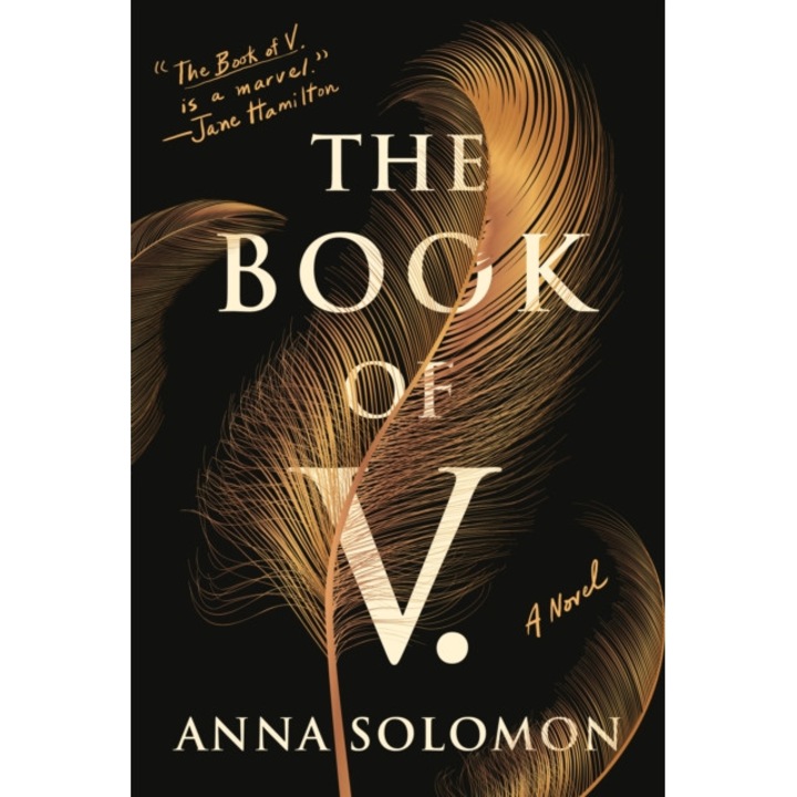 The Book of V. de Anna Solomon