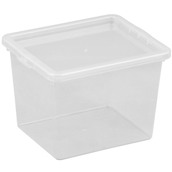 Cutie depozitare cu capac, Plast Team, 3 litri Cutie depozitare cu capac, Plast Team, 3 litri