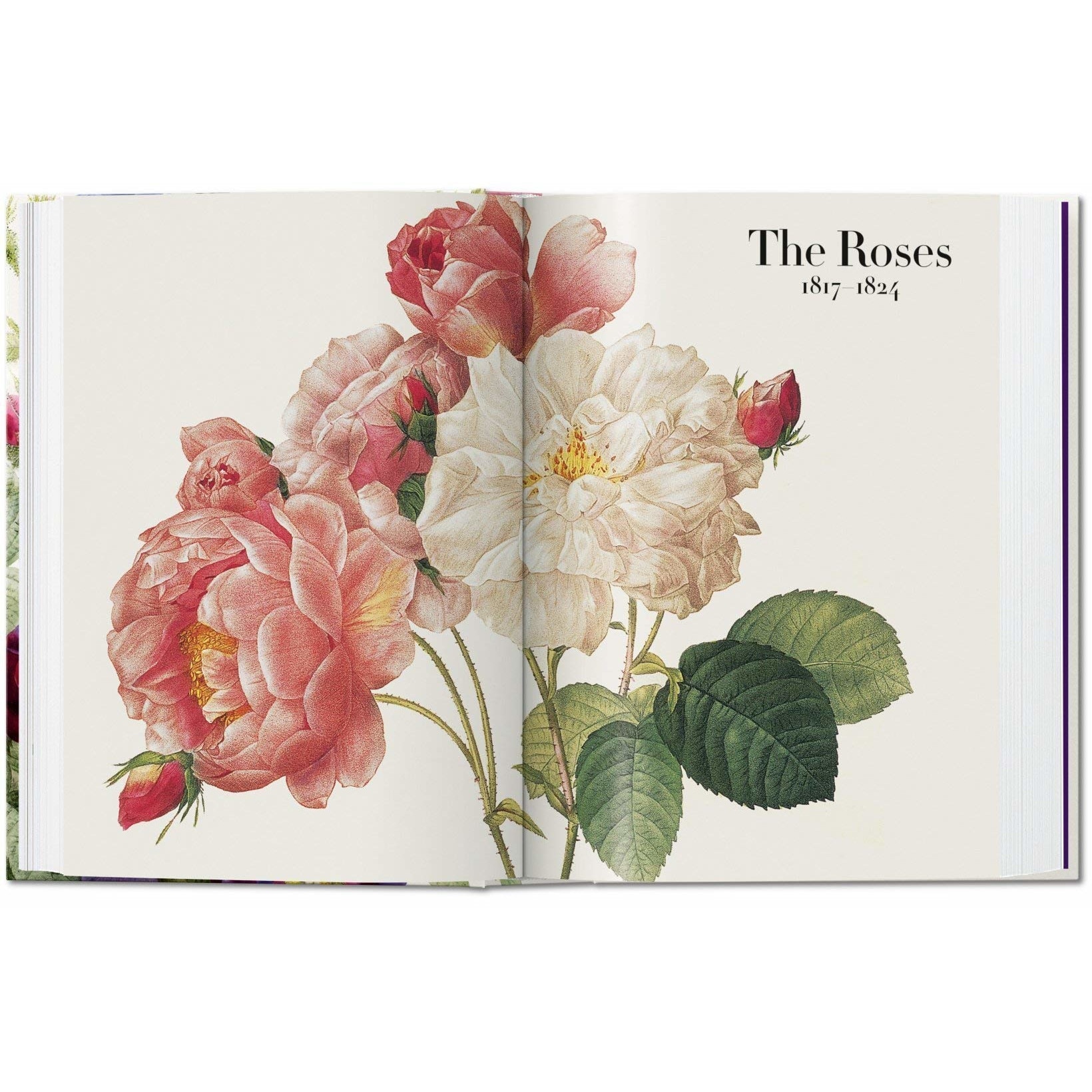 Pierre-Joseph Redoute. The Book of Flowers - H. Walter Lack - eMAG.ro