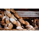 Mastering Bread: The Art and Practice of Handmade Sourdough, Yeast Bread, and Pastry [A Baking Book] de Marc Vetri