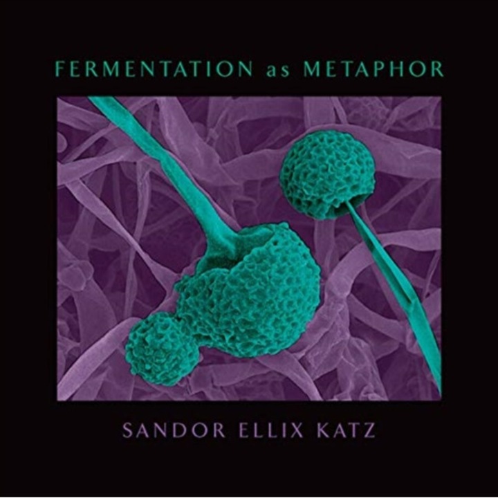 Fermentation as Metaphor: From the Author of the Bestselling the Art of Fermentation de Sandor Ellix Katz