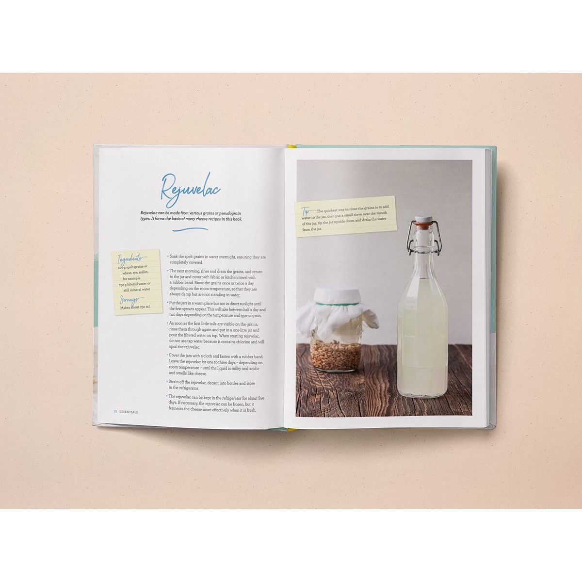 Homemade Vegan Cheese, Yogurt and Milk de Yvonne HölzlSingh eMAG.ro