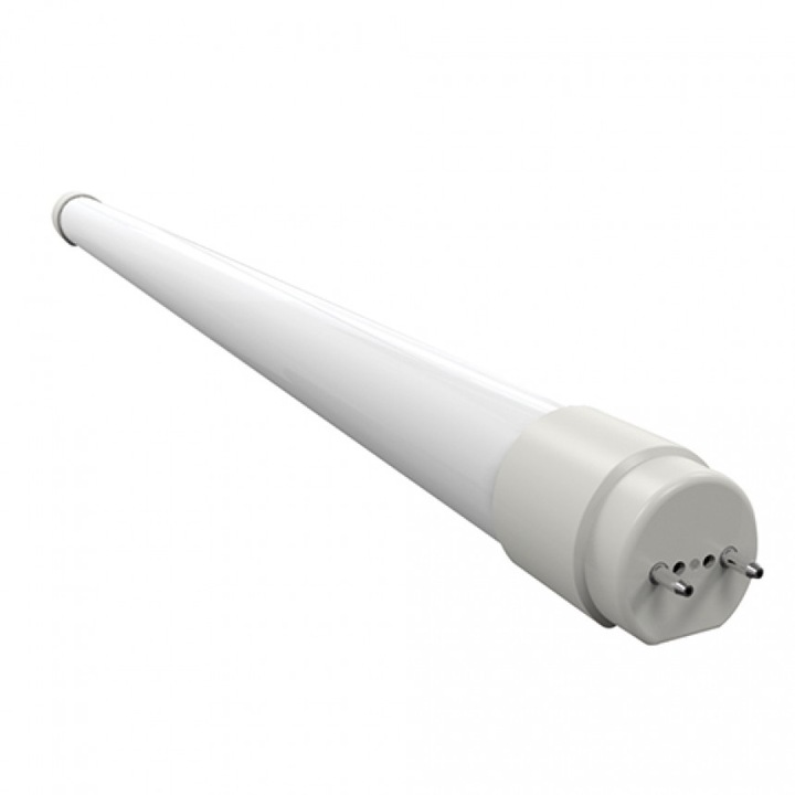 LED тръба Lightex CW, Т8, 9W, 6500K, 100lm/W, 900lm, 600mm, Стъклена, Едностранно захранване