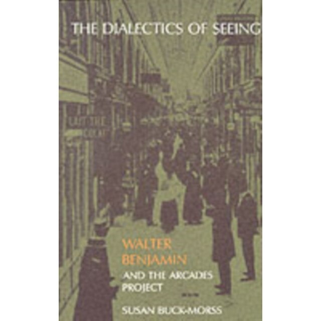 The Dialetics of Seeing: Walter Benjamin & the Arcades Project de Susan ...