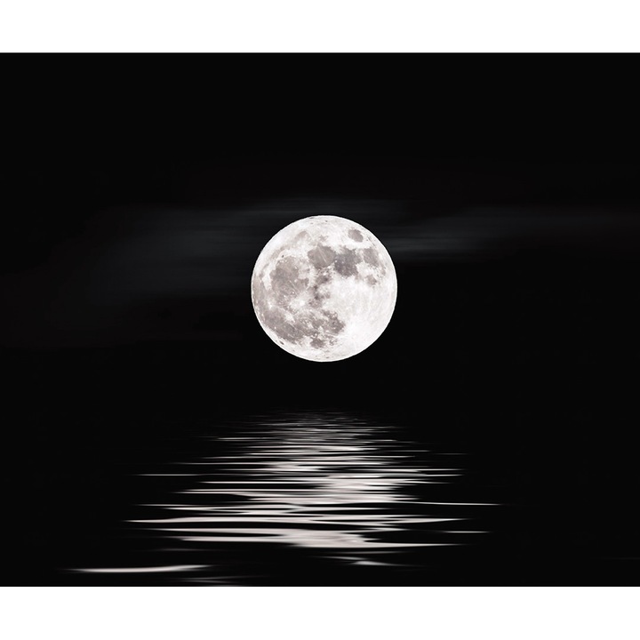 Стъклен панел за кухня, защита на печка, против пръски, Octopus, 600х500мм, окт.104-60х50