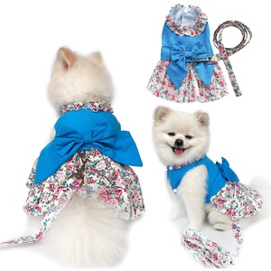 Haine animale de companie