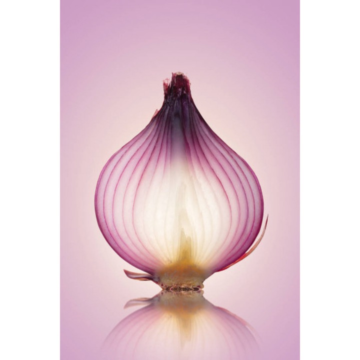 Printly, Fine Art Food Image Átlátszó, Vászonfestmény, 100 cm x 70 cm