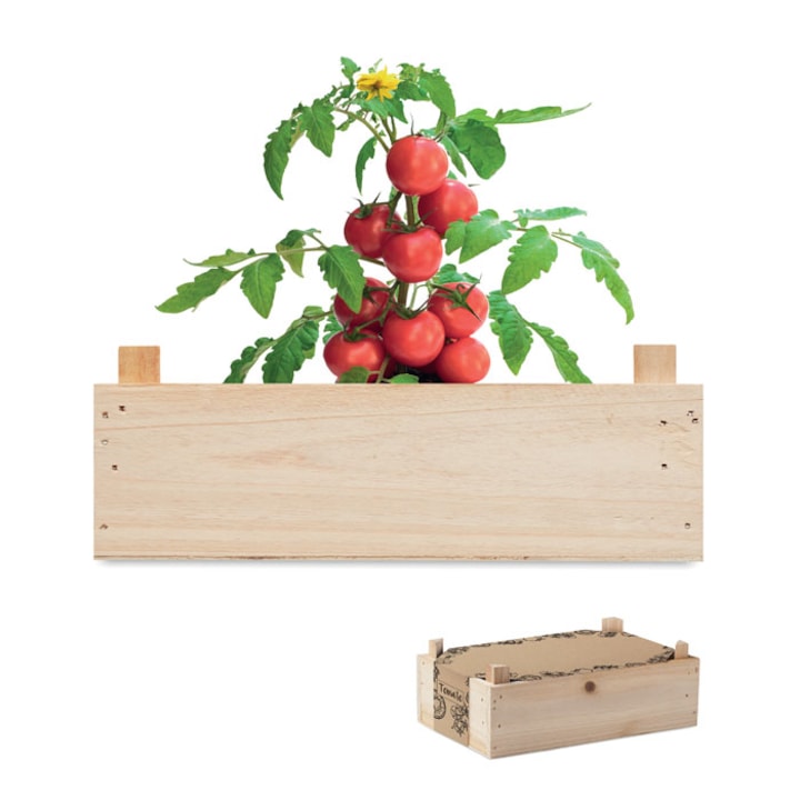 Комплект за отглеждане на домати Evolt, дървена щайга, градински компост