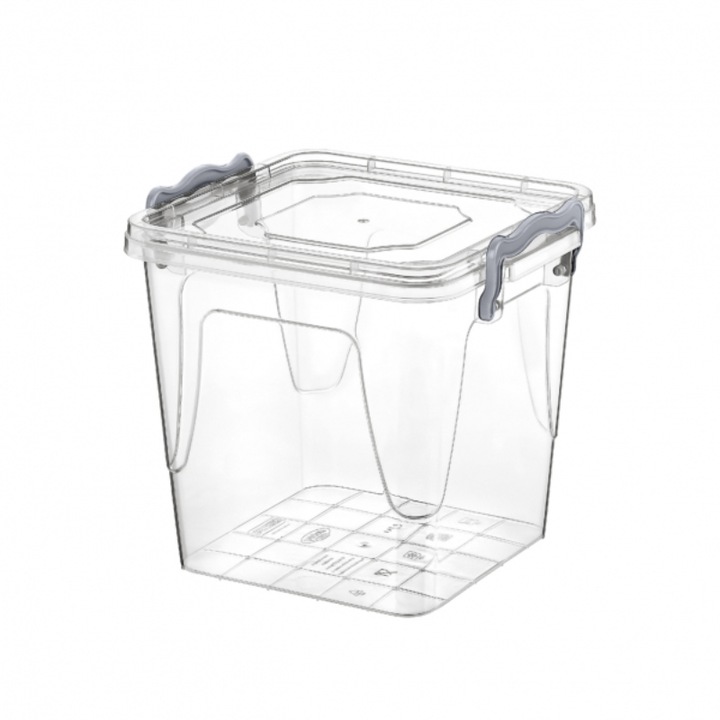 Cutie alimentara, Plastic, 1,8L, Transparent