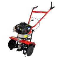 Motosapa, Agrimotor, 140cm3, 2.2kw, Rosu