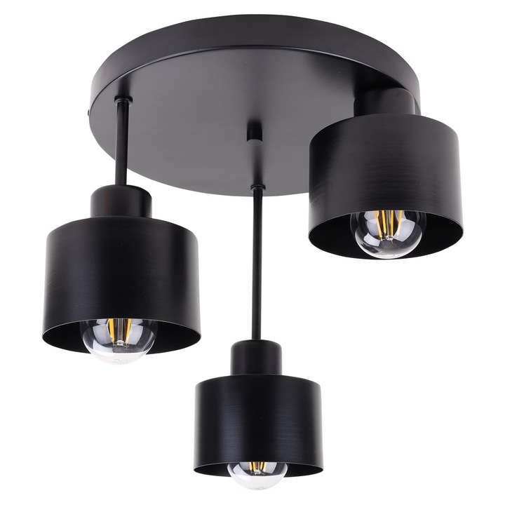 Lustra plafoniera, Light Home, 30 cm, Metal, Negru